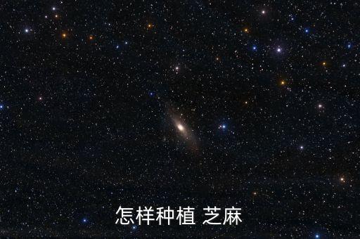 芝麻什么時候打農(nóng)藥,什么時候打農(nóng)藥效果最好