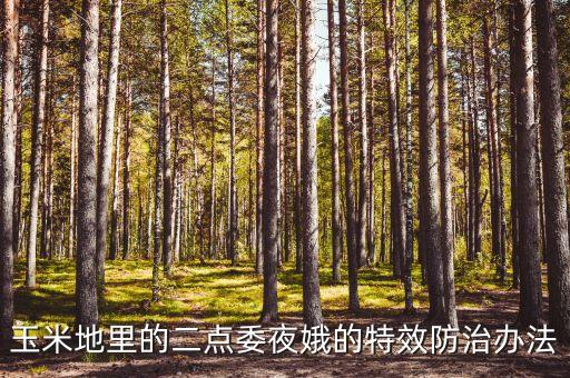 什么農藥能殺死夜蛾,夜蛾用什么農藥最好