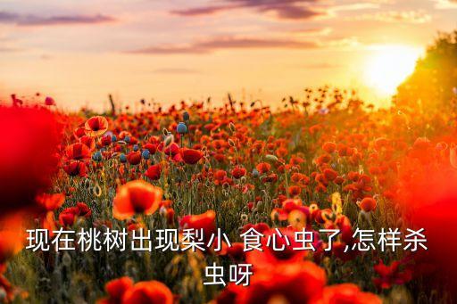 現在桃樹出現梨小 食心蟲了,怎樣殺蟲呀
