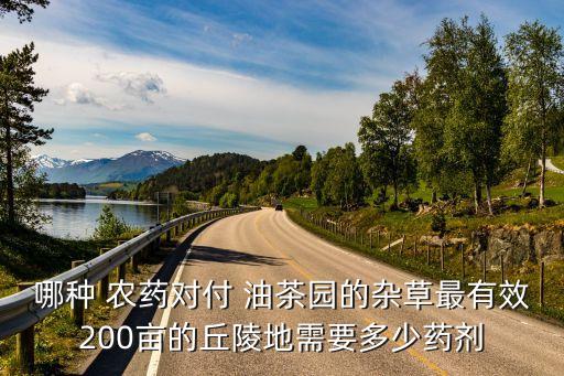 油茶冬季需要打什么農藥,油茶需要什么東西