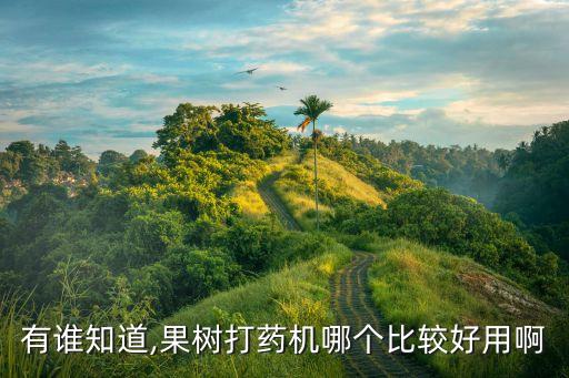 用什么機器打農藥好打些,噴灑農藥的機器叫什么
