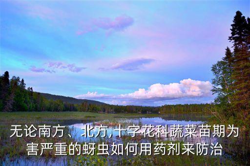 青菜冶蟲用什么農藥,治青菜蟲的自制農藥
