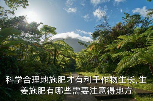 科學合理地施肥才有利于作物生長,生姜施肥有哪些需要注意得地方
