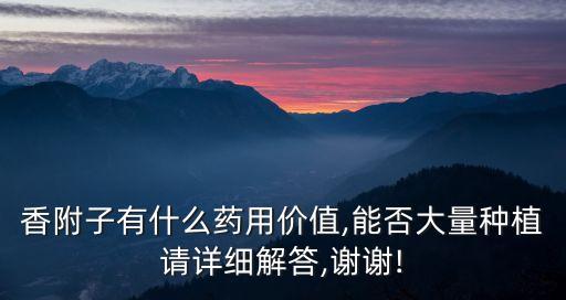香附子有什么藥用價值,能否大量種植請詳細解答,謝謝!