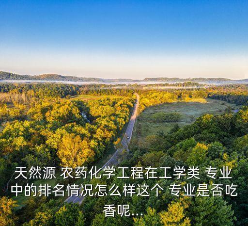 天然源 農藥化學工程在工學類 專業中的排名情況怎么樣這個 專業是否吃香呢...