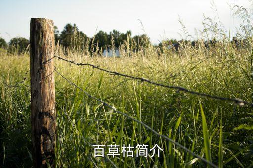  百草枯簡介