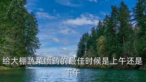 給大棚蔬菜噴藥的最佳時候是上午還是下午