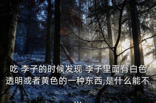 吃 李子的時候發現 李子里面有白色透明或者黃色的一種東西,是什么能不...
