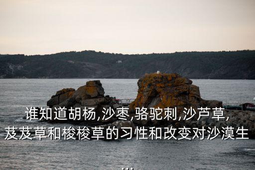 蘆草用什么農藥可以除根