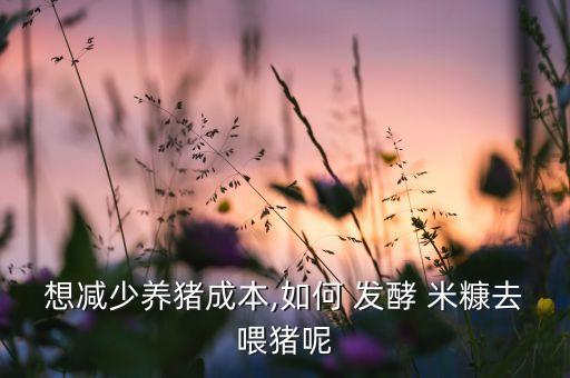 米糠發酵用什么農藥好些,發酵米糠用什么菌