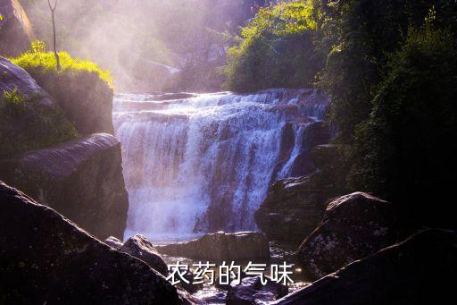  農藥的氣味