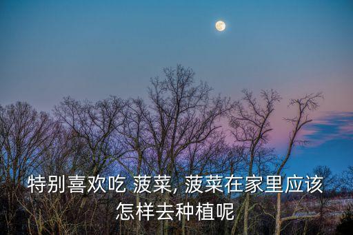 種菠菜用什么農藥好,冬季菠菜什么時間種