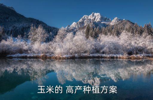  玉米的 高產(chǎn)種植方案