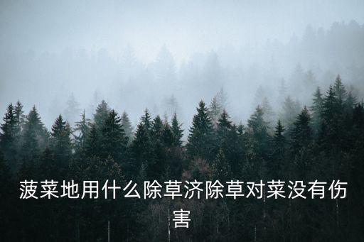菠菜放什么農藥,菠菜需要打農藥嗎