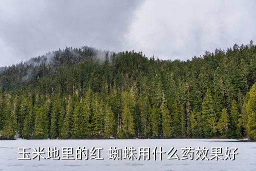 田里蜘蛛多打什么農藥,田里的蜘蛛叫什么?