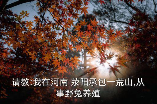 請教:我在河南 滎陽承包一荒山,從事野兔養殖