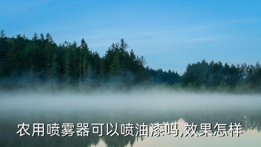 打農藥用什么噴槍好