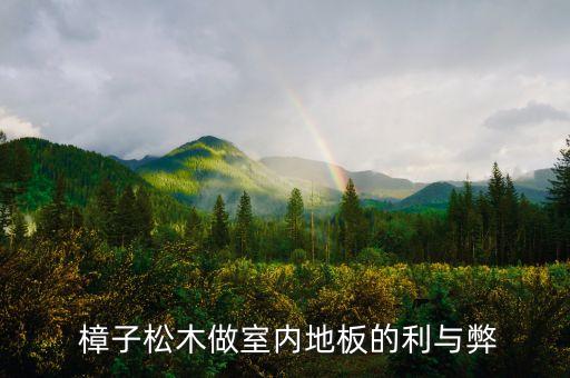  樟子松木做室內地板的利與弊