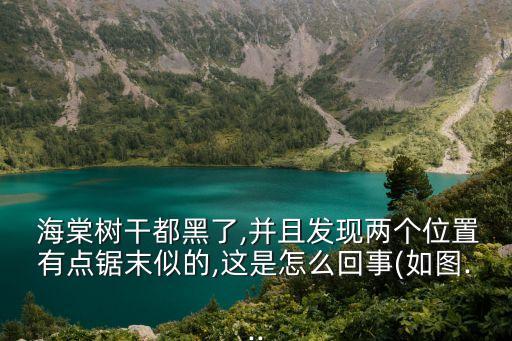 海棠腐爛病用什么農(nóng)藥,冶腐爛病什么農(nóng)藥好