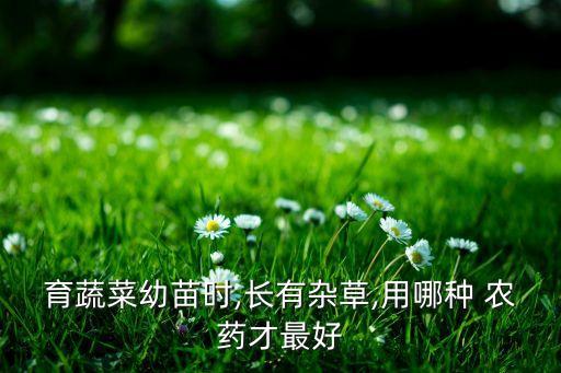 花菜用什么農(nóng)藥,花菜農(nóng)藥很多不建議吃