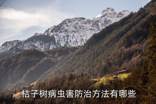 桔子樹跟長蟲用什么農(nóng)藥,冬季桔子樹打什么農(nóng)藥