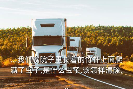 竹虱用什么農(nóng)藥,什么農(nóng)藥可以殺死竹根