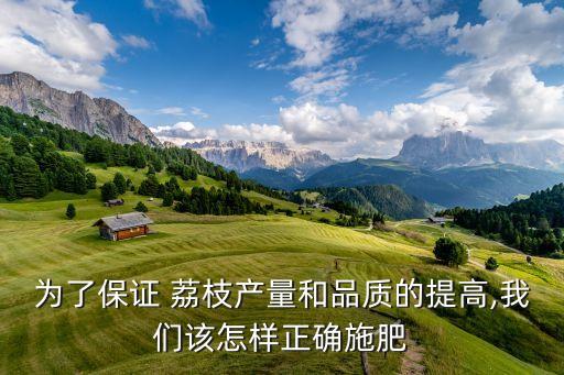 為了保證 荔枝產量和品質的提高,我們該怎樣正確施肥