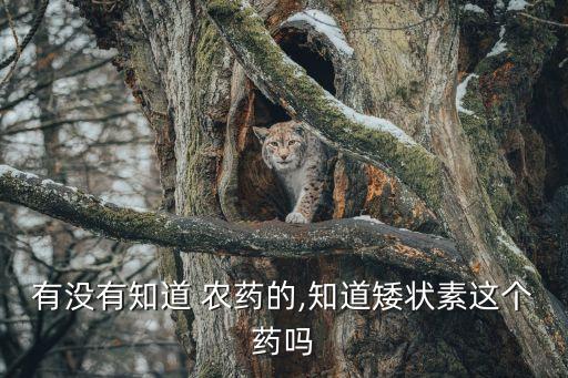 什么農藥使葉菜變綠,葉菜爛葉用什么農藥