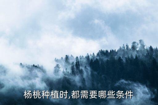 楊桃花期用什么農藥,小麥花期打什么農藥