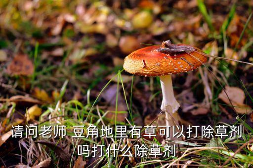 豆角有綠點用什么農藥,豆角主要打什么農藥
