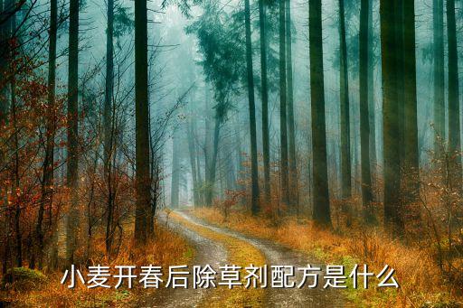 麥田禾本科用什么農(nóng)藥,三月份麥田打什么農(nóng)藥