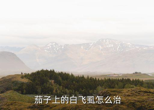 茄子虱打什么農藥最好使,茄子不能用什么農藥