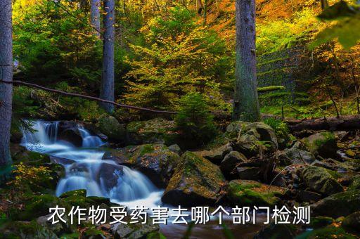 農(nóng)藥鑒定所在什么地方,陽江鑒定所在什么地方