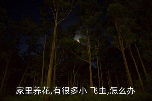 花有飛蟲(chóng)噴什么農(nóng)藥,花上起小飛蟲(chóng)用什么方法