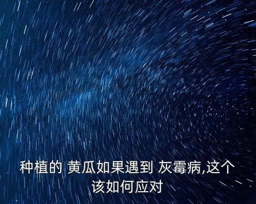 黃瓜灰霉病用什么農藥防治,灰霉病不用農藥如何防治