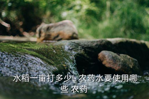  水稻一畝打多少L 農藥水要使用哪些 農藥