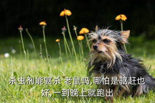 什么農(nóng)藥可以鬧老鼠嗎,用什么農(nóng)藥可以殺死老鼠