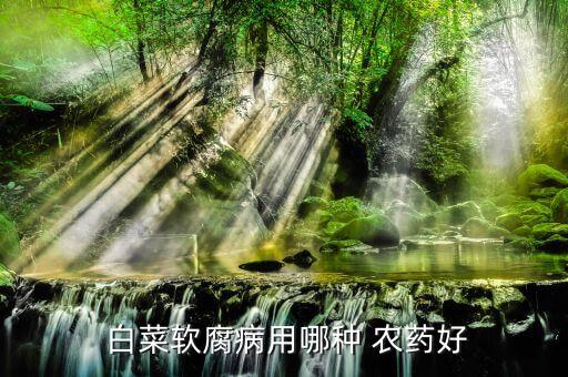白菜水化打什么農藥