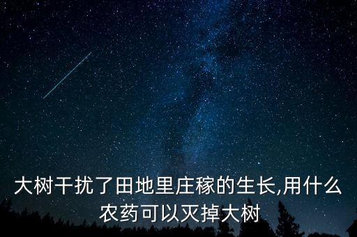 用什么農藥把樹打死,什么農藥能打死所有的草