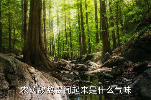 農(nóng)藥什么味道推薦吃,橘子有農(nóng)藥味道吃了沒事吧