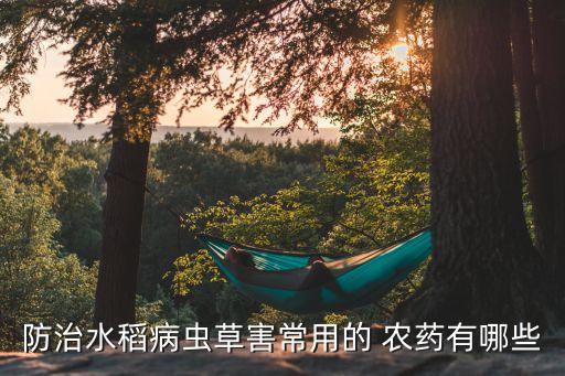 稻瘟的農藥叫什么,雜稻用什么農藥能去除