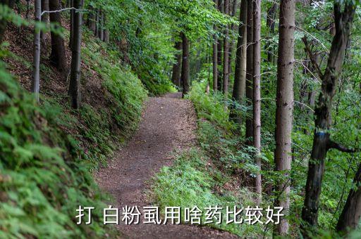 白粉廝用什么農(nóng)藥,白粉痋用什么農(nóng)藥
