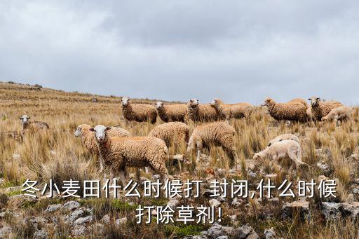 農藥打封閉是什么意思,nba打封閉是什么意思