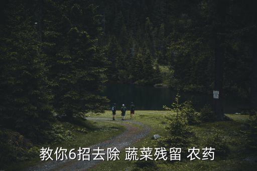 教你6招去除 蔬菜殘留 農(nóng)藥