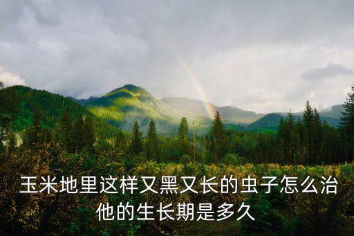  玉米地里這樣又黑又長的蟲子怎么治他的生長期是多久