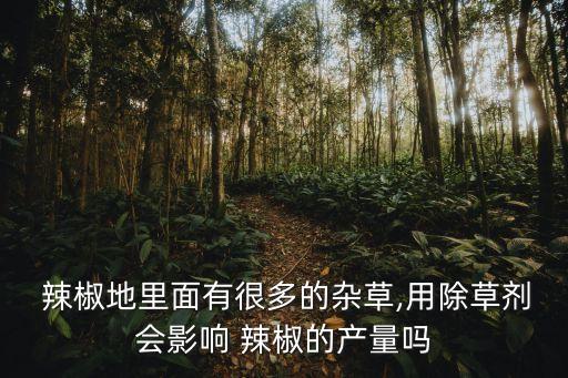  辣椒地里面有很多的雜草,用除草劑會影響 辣椒的產(chǎn)量嗎