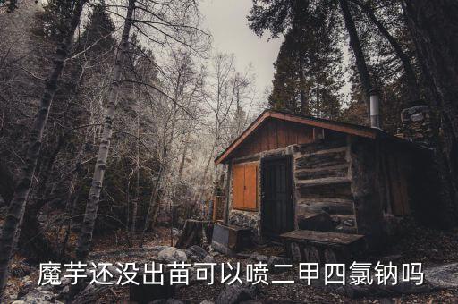 魔芋專用除草用什么農藥,魔芋玉米套種用什么農藥除草