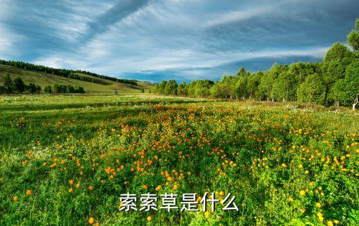 梭梭草用什么農(nóng)藥治,什么是梭梭草