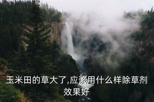 玉米地種什么農(nóng)藥,夢(mèng)見在玉米地打農(nóng)藥