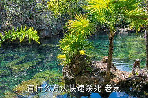 什么農藥毒老鼠有效,藥老鼠用什么農藥好